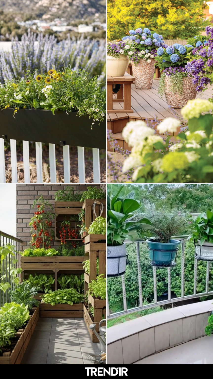 26 Balcony Railing Planter Ideas That Make People Look Up When They ...